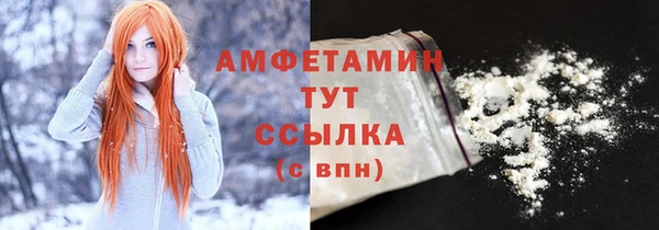 амф Вяземский