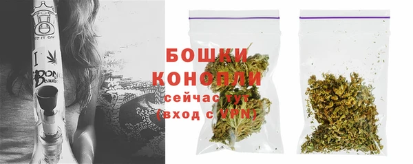 амф Вяземский