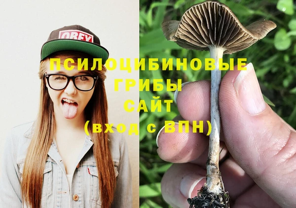 амф Вяземский