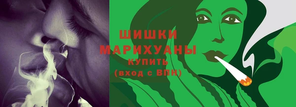 амф Вяземский