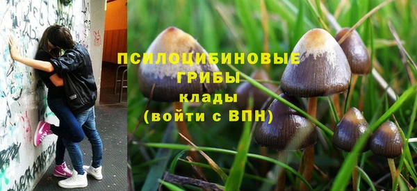 амф Вяземский