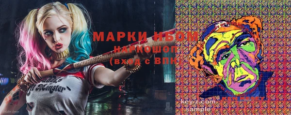 амф Вяземский